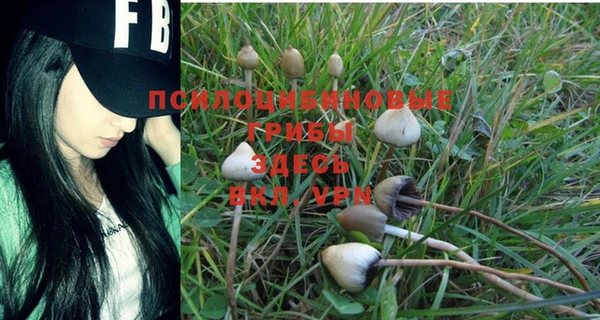 кокс Баксан
